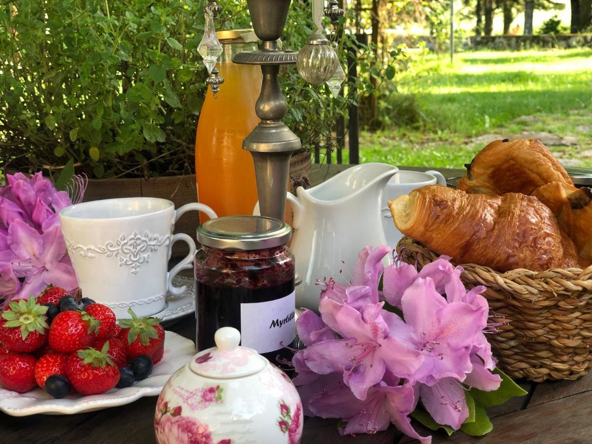 Manoir De Chantemerle Sainte-Fortunade 외부 사진